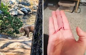 ST14. Master the Art of Approaching People and Completely Transform Your Social Life!