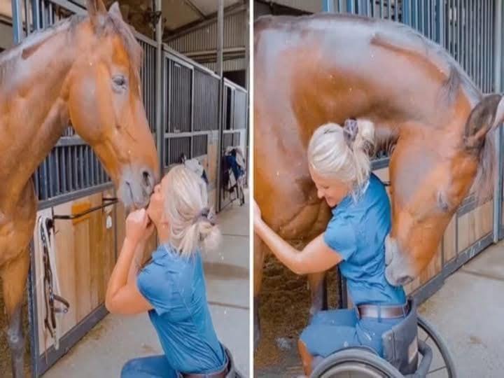 HT14. Young woman was hospitalized after being pen…See more