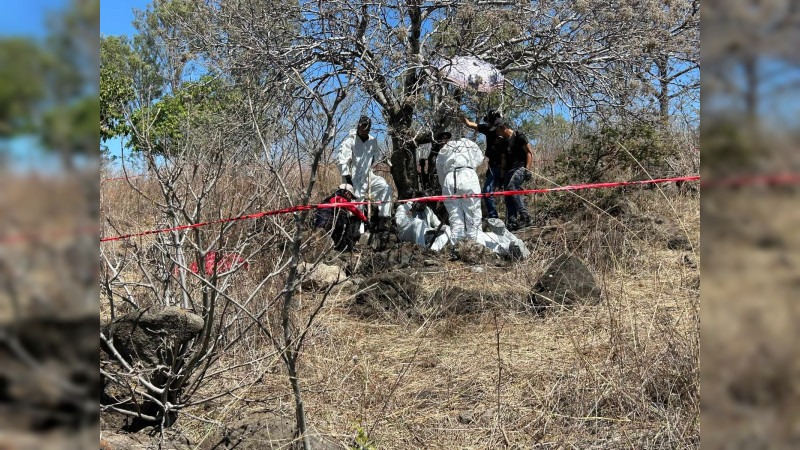 HT1. They found the body in black bags… See more