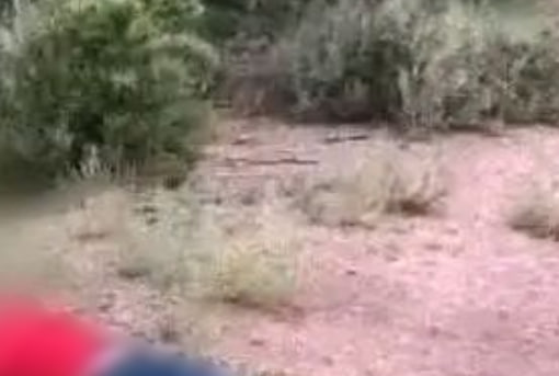 HT10. This young man was found a moment ago without a…See more