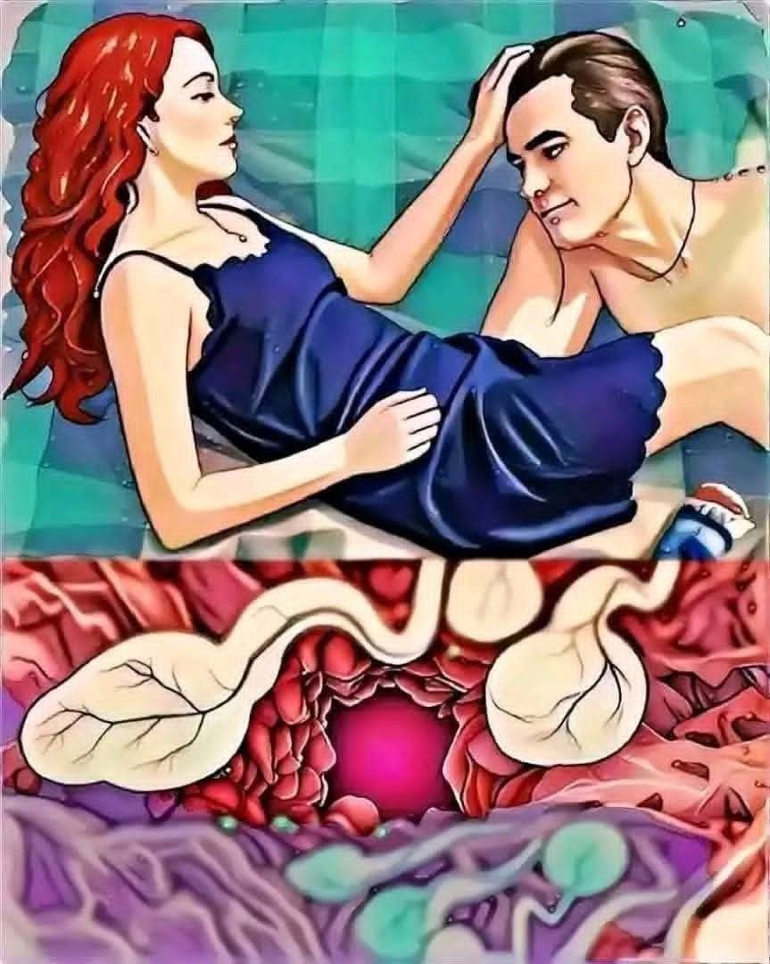 HT1. Did you know that older women have the best…