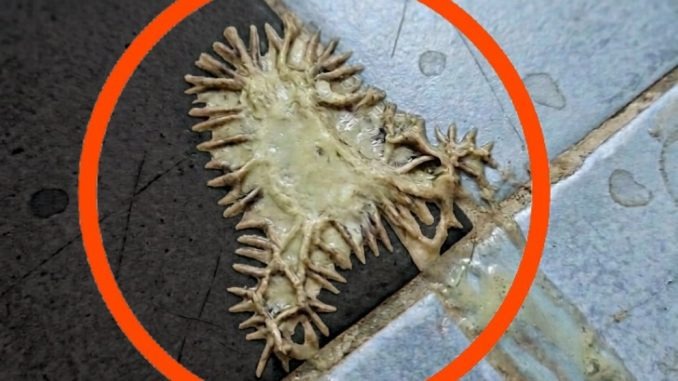 HT14. I found this in my girlfriend’s bathroom. We’ve been looking at it for an hour now and still can’t figure out what it is