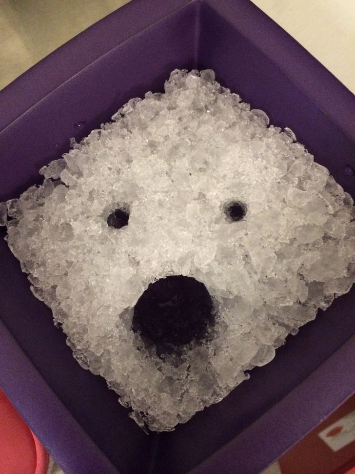 ST1. 25 Images That Deserve a Closer Look