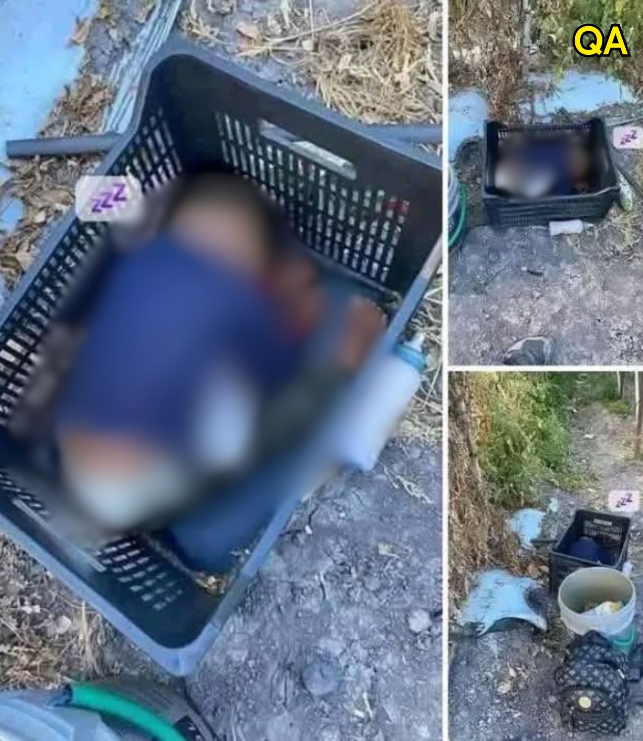 HT1. This approximately 2-year-old boy was found… See more