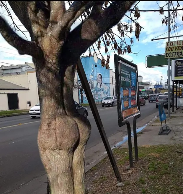 ST1. This Perfectly Innocent Quiz Will Reveal Whether You Have A D!rty Mind