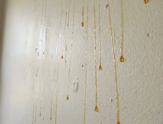HT14. Yellow Stuff Starts Dripping Down Your Bathroom Walls? Here’s What It Might Be