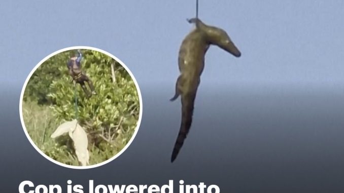 HT6. Cop lowered into crocodile-infested river to retrieve de@d businessman