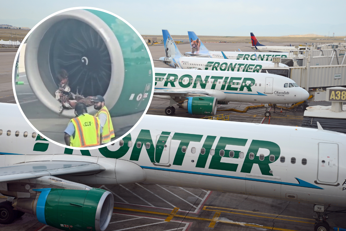 HT7. HORROR ON THE TARMAC: A Frontier plane’s engine shredded…Video in comments