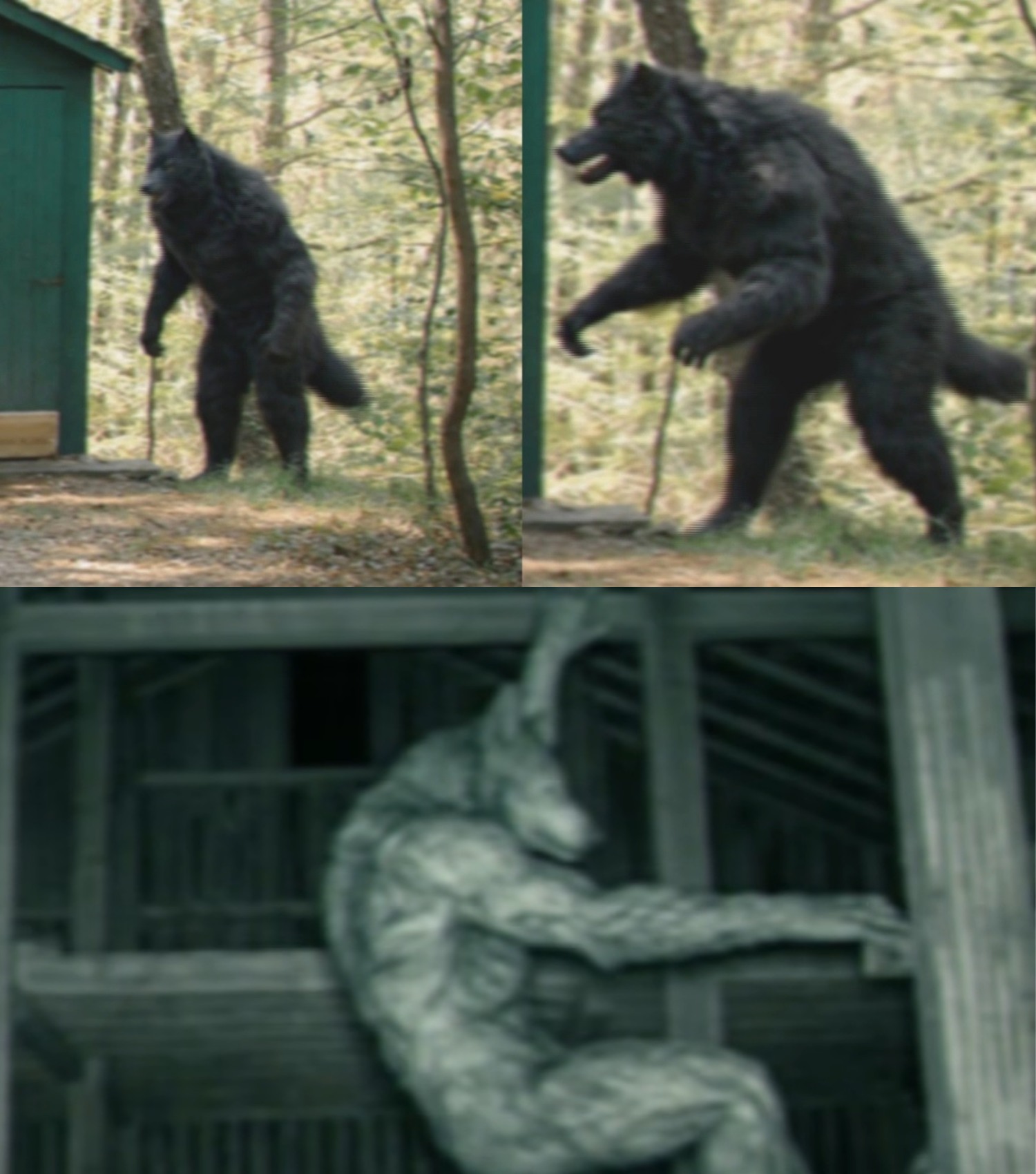 HT10. This DOGMAN Has Lived on the Same Farm for Forty Years…