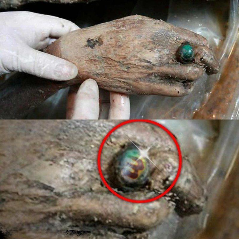 HT10. NOT A MOVIE: 700-Year-Old “Living Mummy” Unearthed, Everything Found INSIDE Will Shock You!