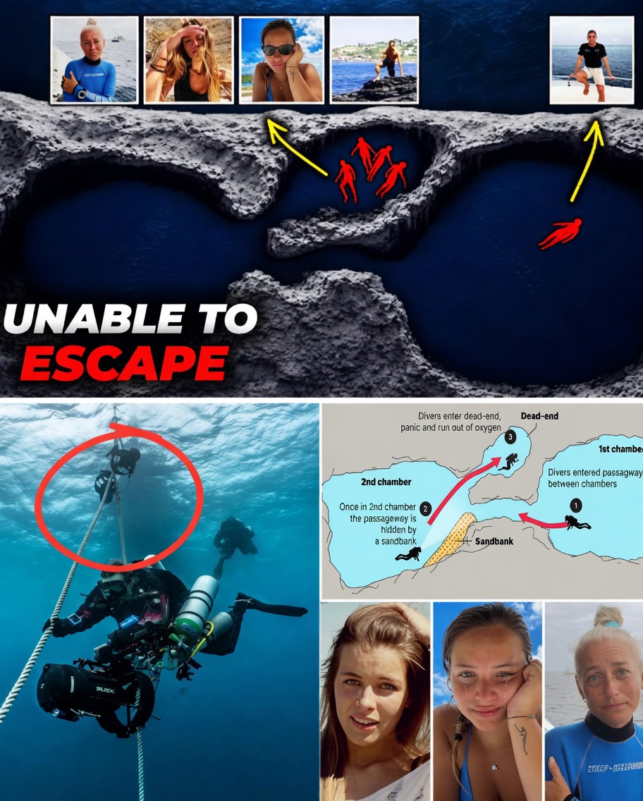 HT14. “FIVE DIVERS WENT INTO THE MALDIVES CAVES… NONE EVER MADE IT OUT” — Investigators Now Believe One Critical Human Error Triggered the Entire Tragedy
