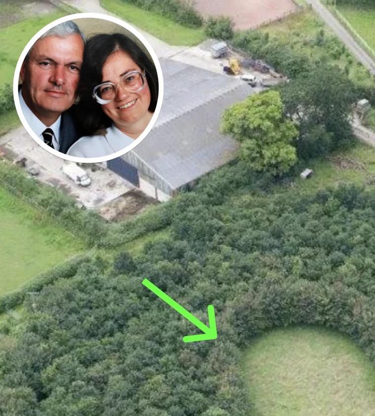 HT1. Husband Plants 6000 Trees To Honor Deceased Wife, 15 Years Later Photos Reveal His True Motive