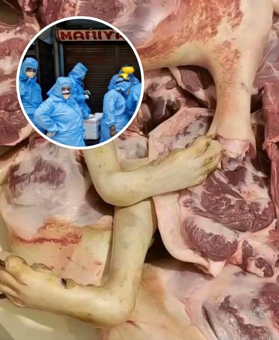 HT7. Authorities Arrest a California Man in Connection With an Unusual Meat Sales Case