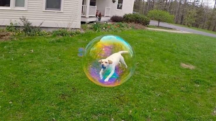 ST7. 28 Perfectly Timed Photos That Will Make You Look Twice
