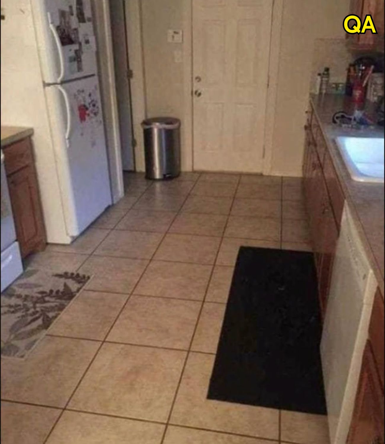 HT1. Can you find the large dog hiding in this kitchen?