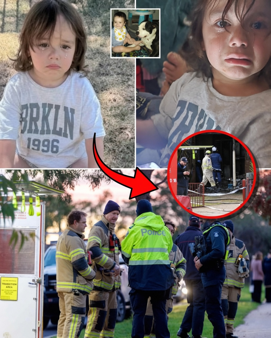 HT1. “THE DOGS REFUSED TO LEAVE HIS SIDE” — Heartbreaking New Details Emerge After Tragic House Fire Claims 3-Year-Old Boy