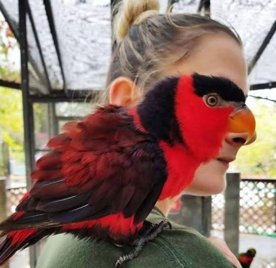 ST7. 13 Photos That Are So Confusing, Even Doing a Double Take Won’t Help You