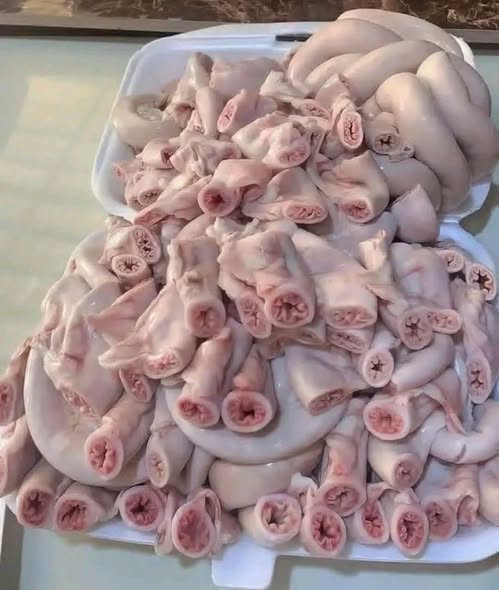 HT6. What You Are REALLY Eating, The Shocking Truth About Supermarket Meat They Do Not Want You to Notice