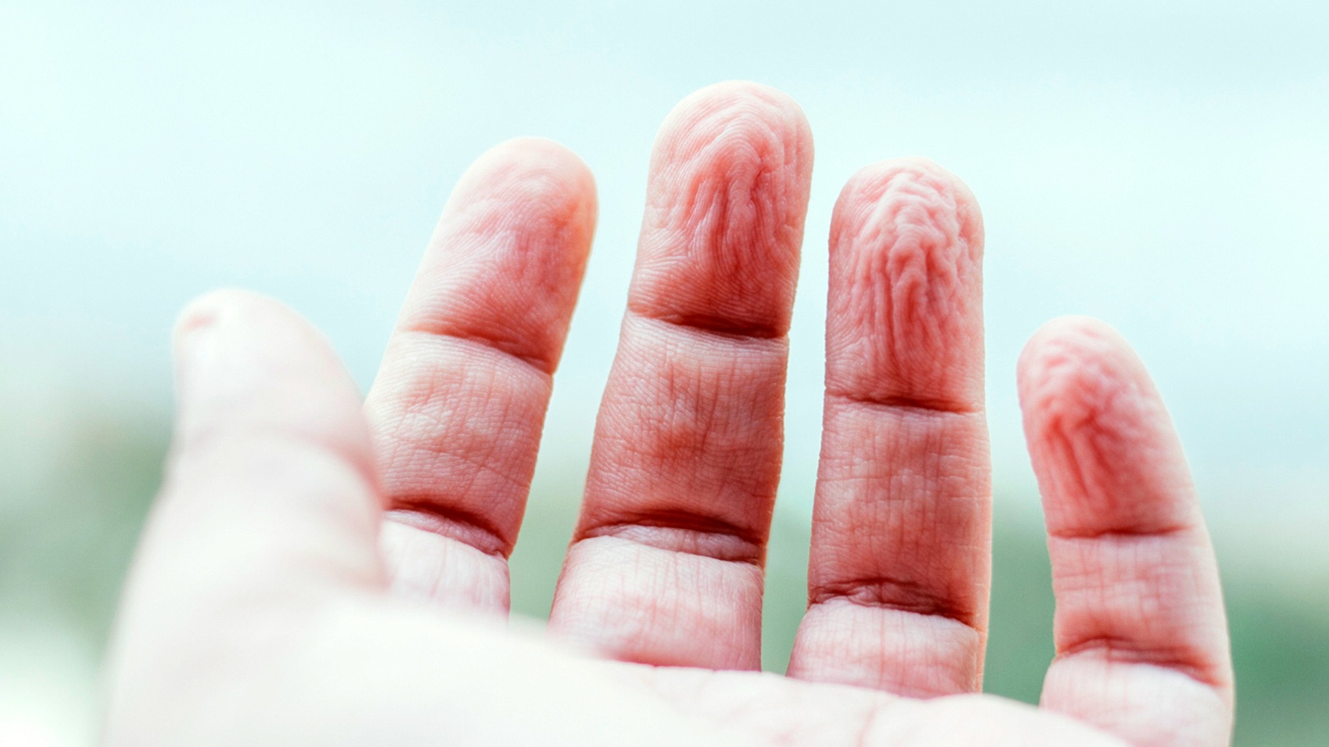 HT14. ALERT These are the signs that it is cre…See more