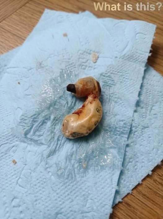 HT10. I found this in my son’s room while cleaning