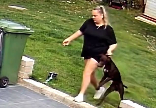 HT1. Pet sitters caught on camera kicking and dragging family dog