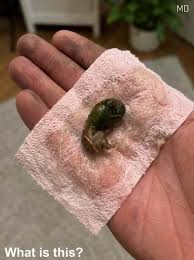 HT1. A Mysterious Discovery on Our Bathroom Floor Left Us Searching for Answers