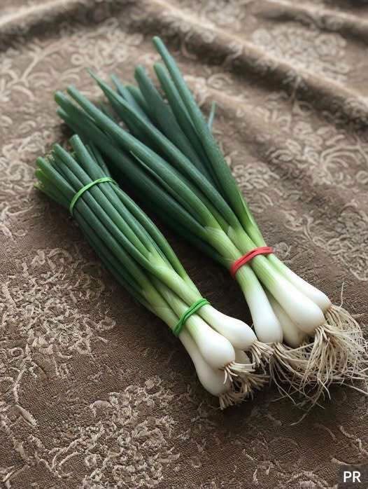 HT10. The Difference Between Green Onions, Scallions, Spring Onions, and Chives Explained