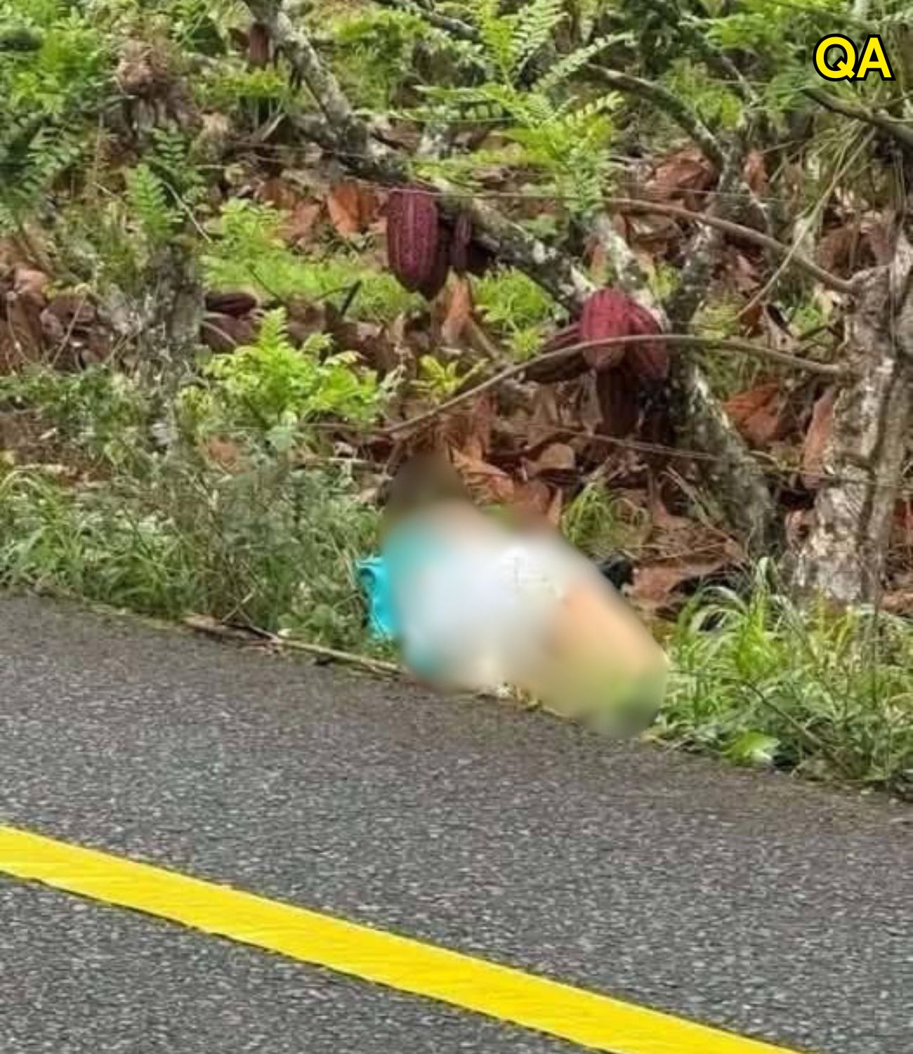 HT14. They find this young woman dead simply for being…See more