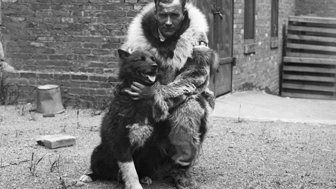HT2. The True Story Of Balto, The Husky That Helped Save An Entire Alaskan Town From Certain De@th
