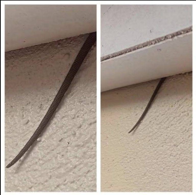 HT1. What Is Sticking Out of My Ceiling? Common Causes, Safety Tips, and When to Call a Professional