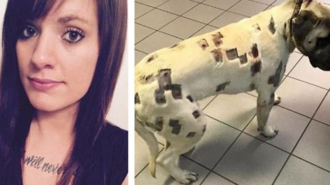 ST1. Horrified woman finds dog covered in odd marks, rushes to vet for answers