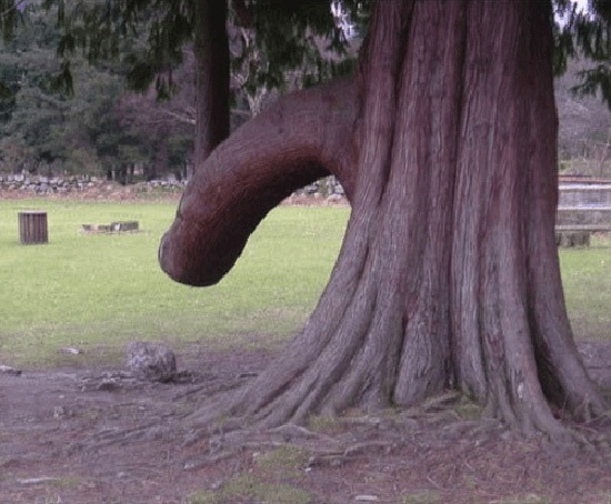 ST3. 37 Pictures That Ultimately Prove You Have a Dirty Mind