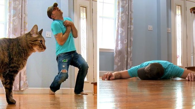 ST2. Cat owner fakes his own death to see how cat reacts – doesn’t expect this reaction