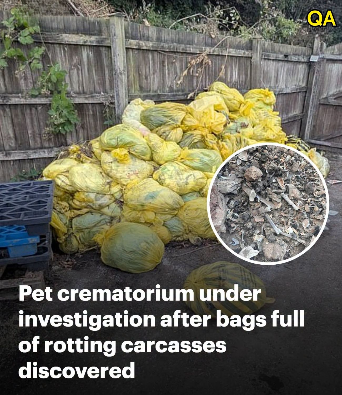 HT1. Pet crematorium under investigation over ‘squalid’ conditions after bags full of rotting carcasses and piles of bones and ash discovered