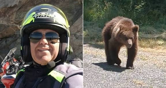 HT1. Tourist dragged into a ravine and killed by bear in Romania