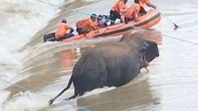 HT1. A Rescue Mission That Ended in Tragedy