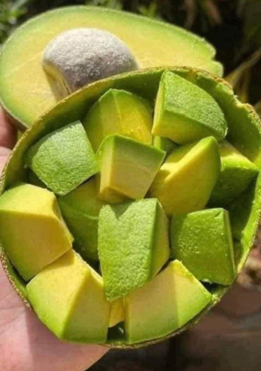 HT10. The Science-Backed Health Benefits of Avocado
