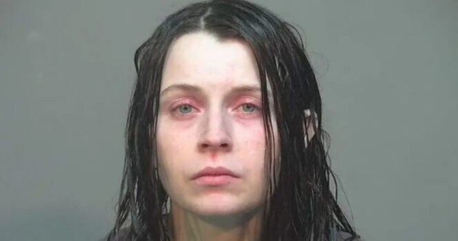 HT3. Lawyer reveals ‘telling’ first thing mom of 16 “feral” children rescued from Ohio home said after arrest