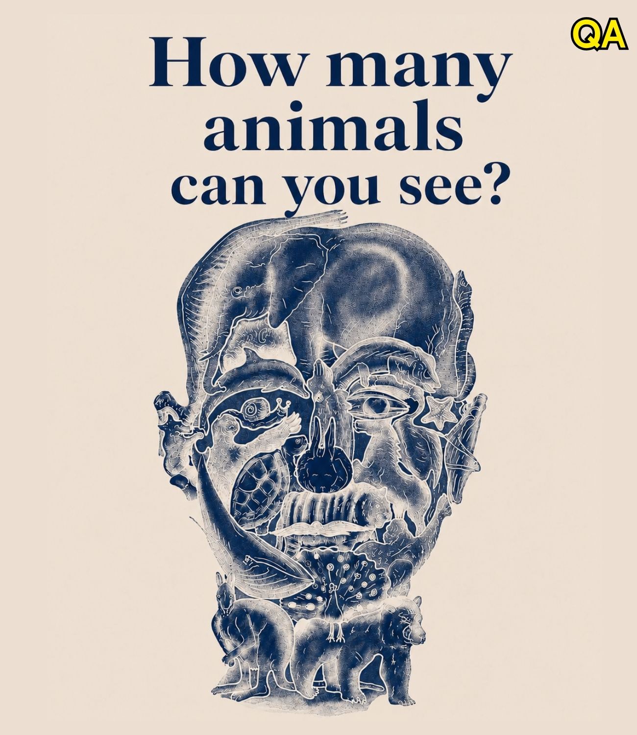HT14. How Many Animals Are Hidden?
