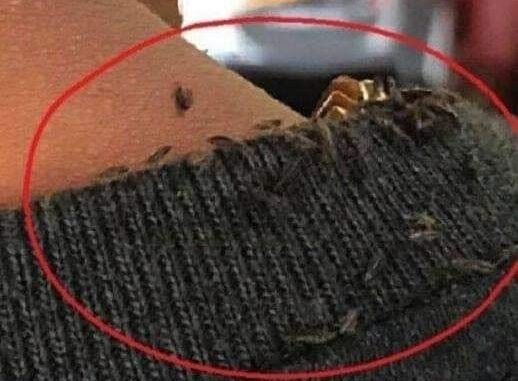 HT1. He got on the bus, but when he saw what was coming out from under the driver’s coat, he was horrified…
