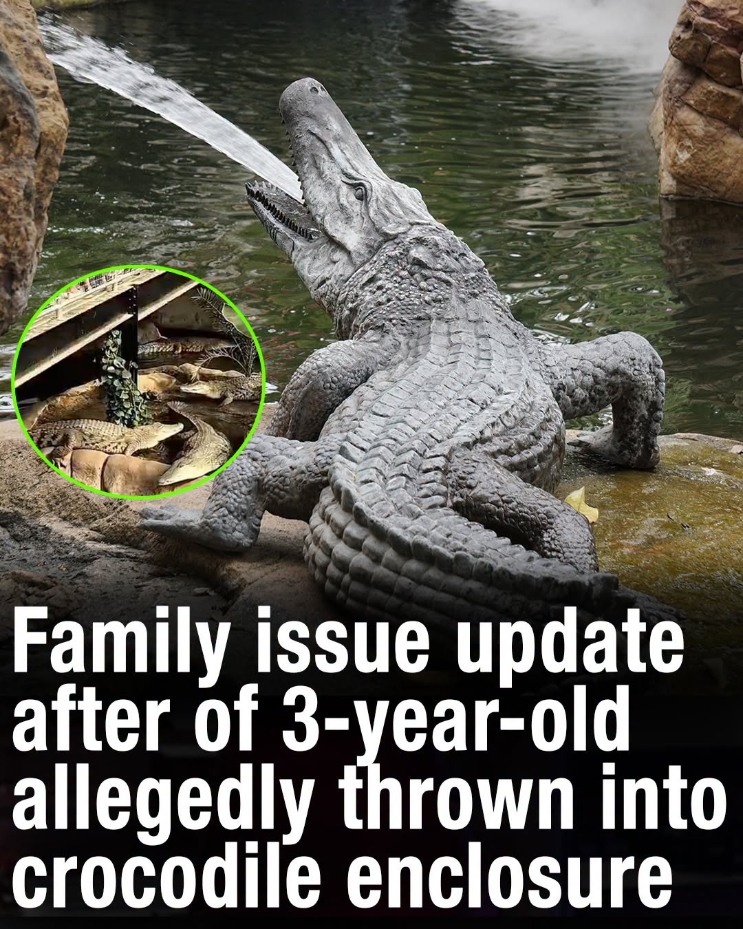 HT1. Family of 3-year-old allegedly thrown into crocodile enclosure issue update