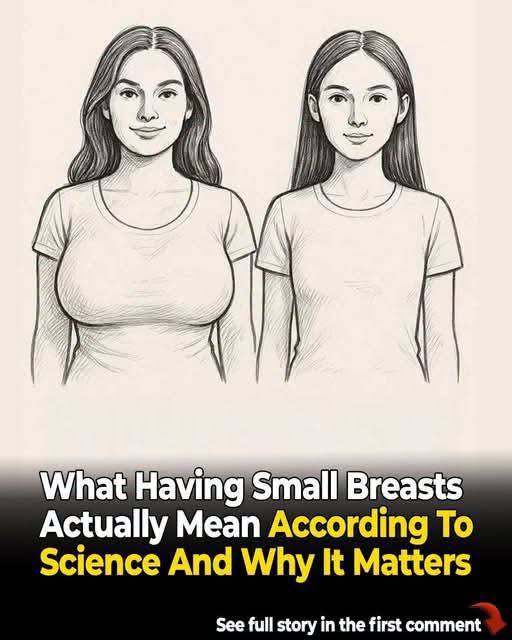 HT3. 13 science-backed facts highlighting why small breasts are amazing