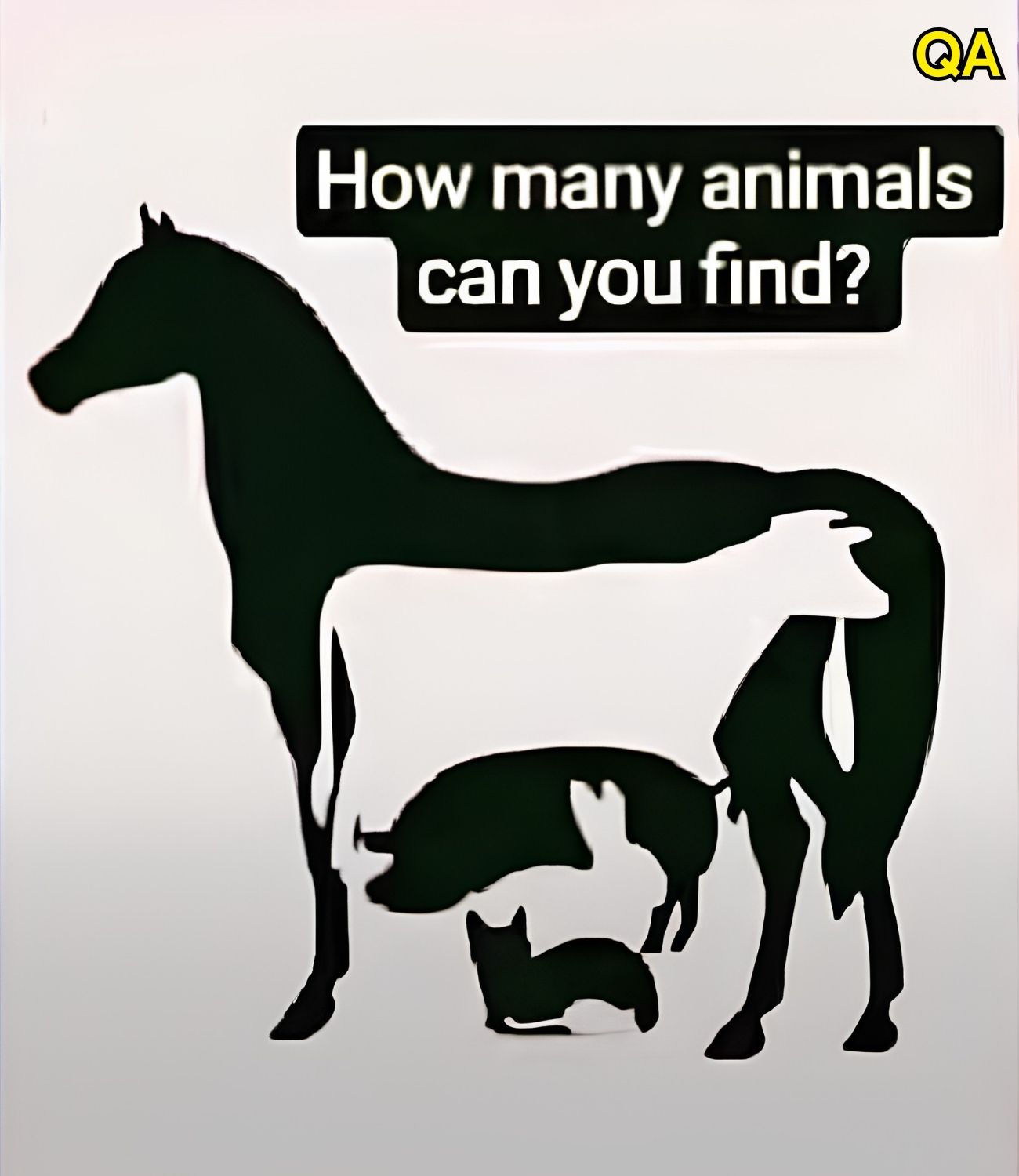 HT1. This Visual Test Offers Insight Based on the First Animal You Notice