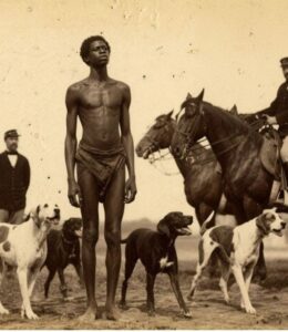 HT4. They used 3 horses and 7 dogs to transport a 2.31-meter-tall slave, but 10 hours later…