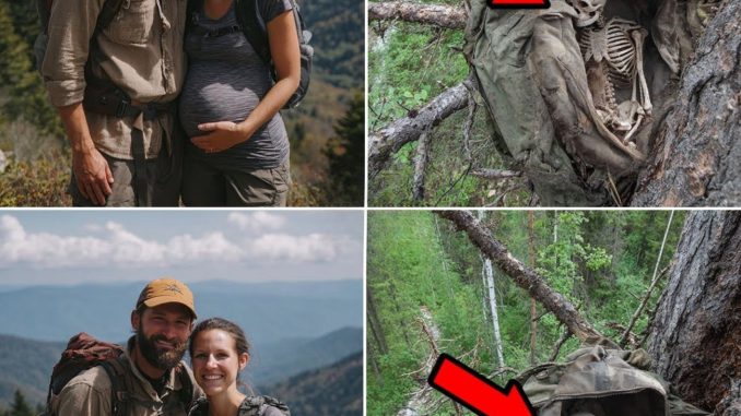 HT4. A Young Couple Vanished in the Appalachians — 10 Years Later, They Were Found in a Sleeping Bag in a Tree…