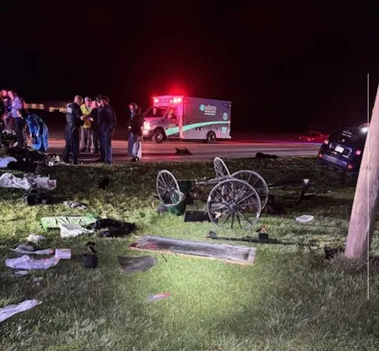 HT3. Jeep Smashes Buggy Ejects Family Of 9 Amish Five Children Were See More