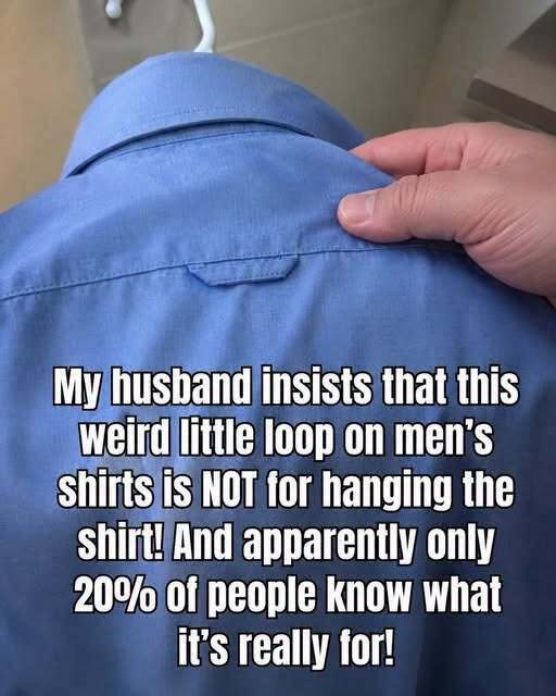 HT3. The Hidden Purpose Behind the Small Loop on the Back of Your Shirt