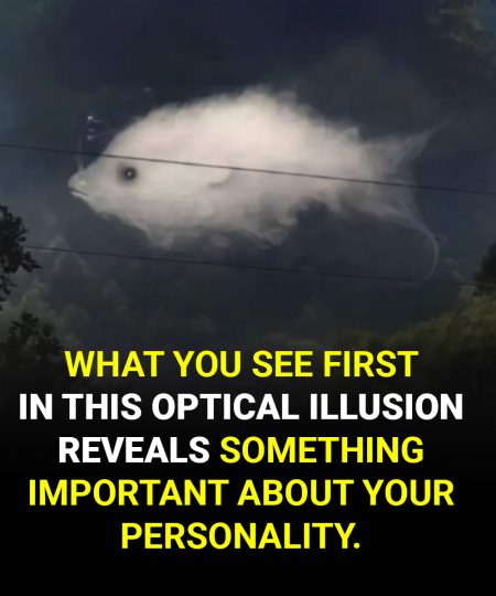 HT3. Optical illusion: What you see first reveals something important about your personality