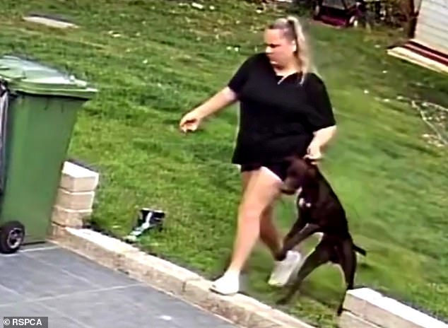 HT2. Pet sitters caught on camera kicking and dragging family dog they were paid £1,400 to look after while owners were on holiday