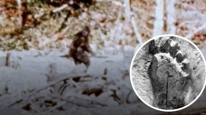 HT1. Truth behind iconic Bigfoot sighting as new wave of reports flood Ohio